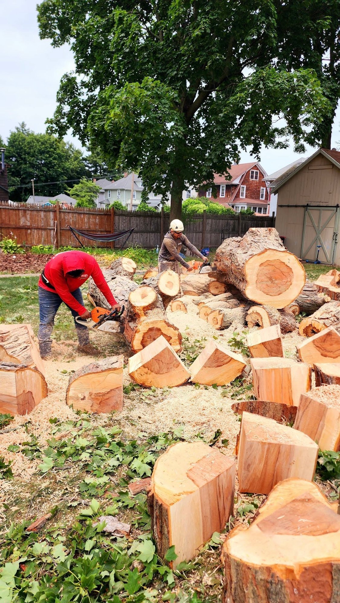Two people processing freshly cut logs in a residential yard with stacked wood sections and houses visible in the background