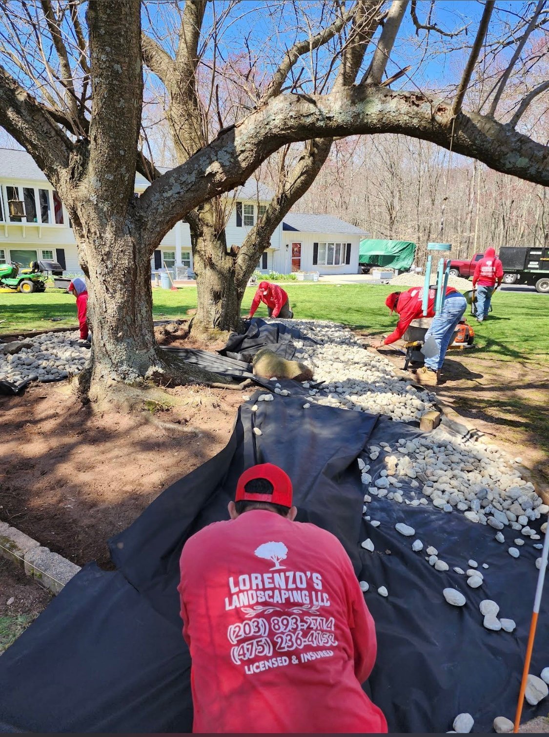 Lorenzo's crew in red shirts laying black landscape fabric and river-rock gravel around a mature tree in a residential yard