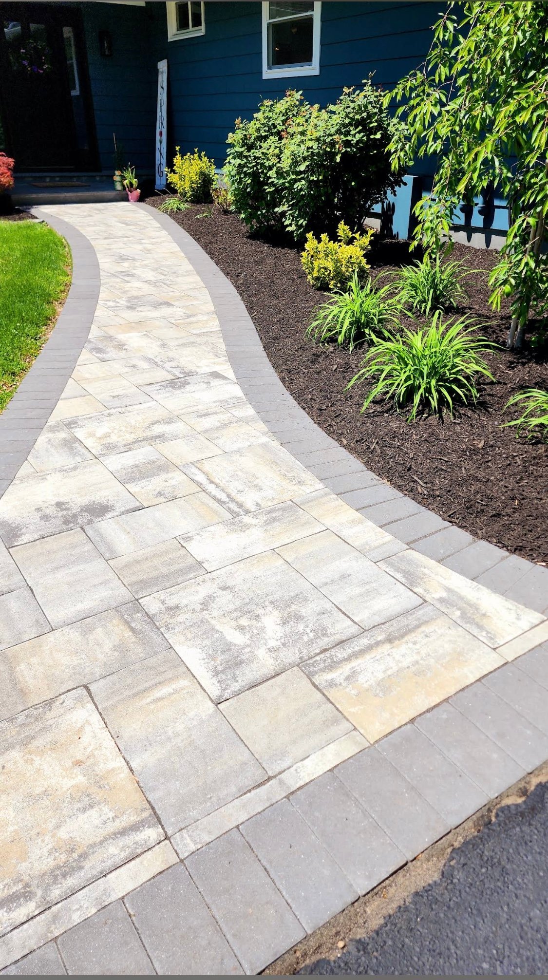 Curved patio pathway with paver stones leading to a blue house entrance, bordered by landscaping mulch and green plants