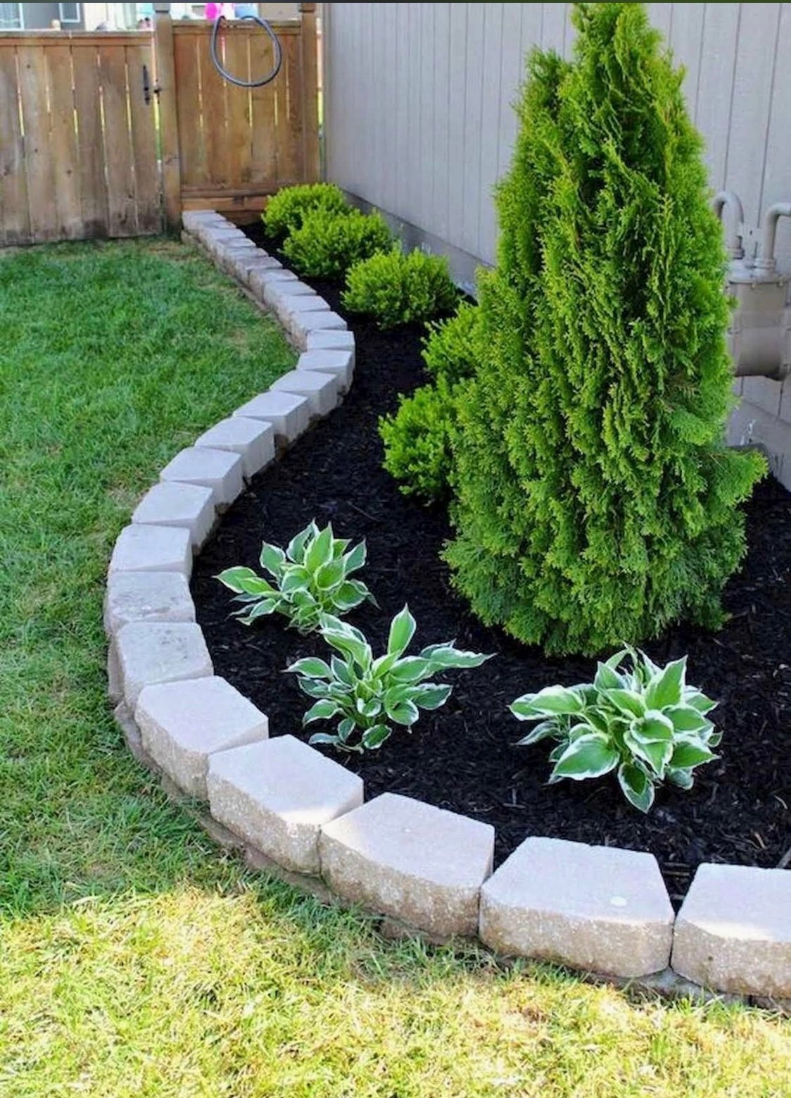 Landscaped garden bed with concrete edging, tall green shrubs, hostas, black mulch, and green grass lawn in backyard
