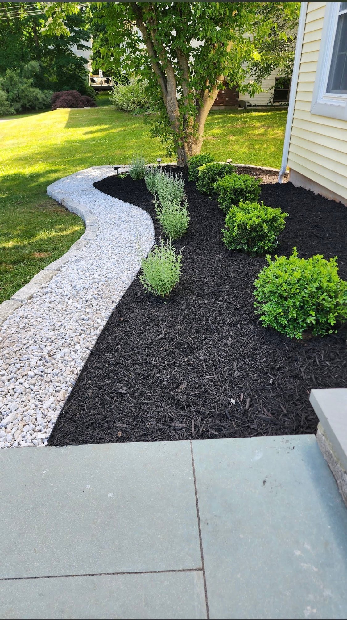 Curved river-rock pathway with dark mulch landscaping bed containing green boxwood shrubs next to a yellow house
