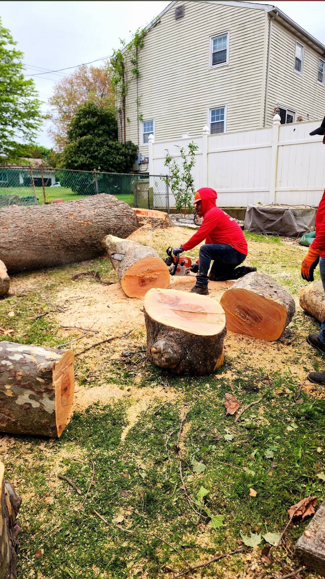 Person in red jacket using chainsaw to cut logs in residential backyard with house and garage in background