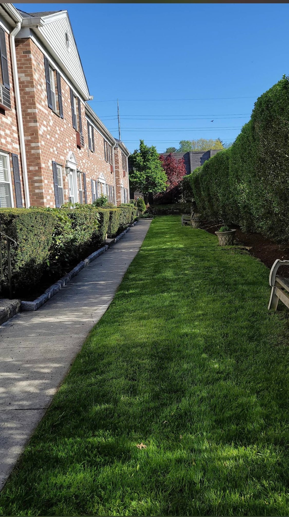 Manicured green lawn bordered by tall hedges and a stone-edged walkway between brick townhouses
