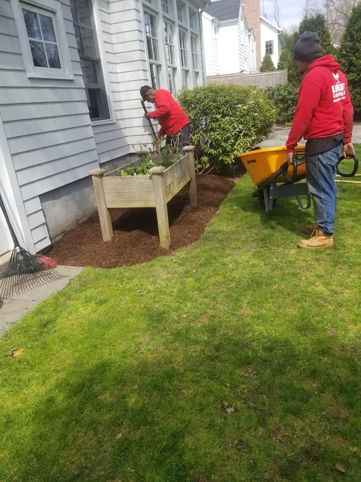 Lorenzo's Landscaping crew spreading mulch around planter beds on a Connecticut property