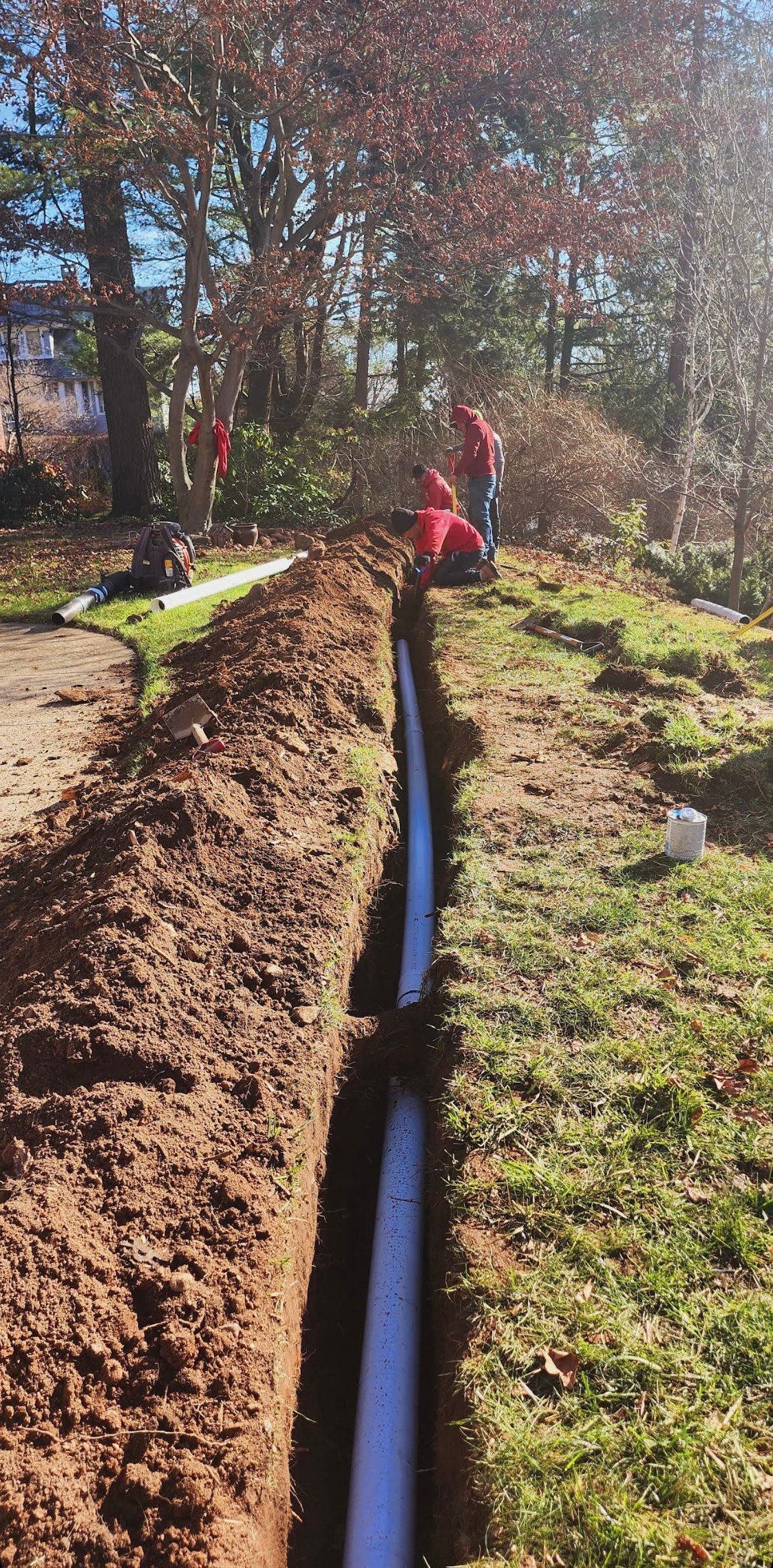 Workers installing blue pipe in a trench dug through wooded residential area with brown autumn leaves