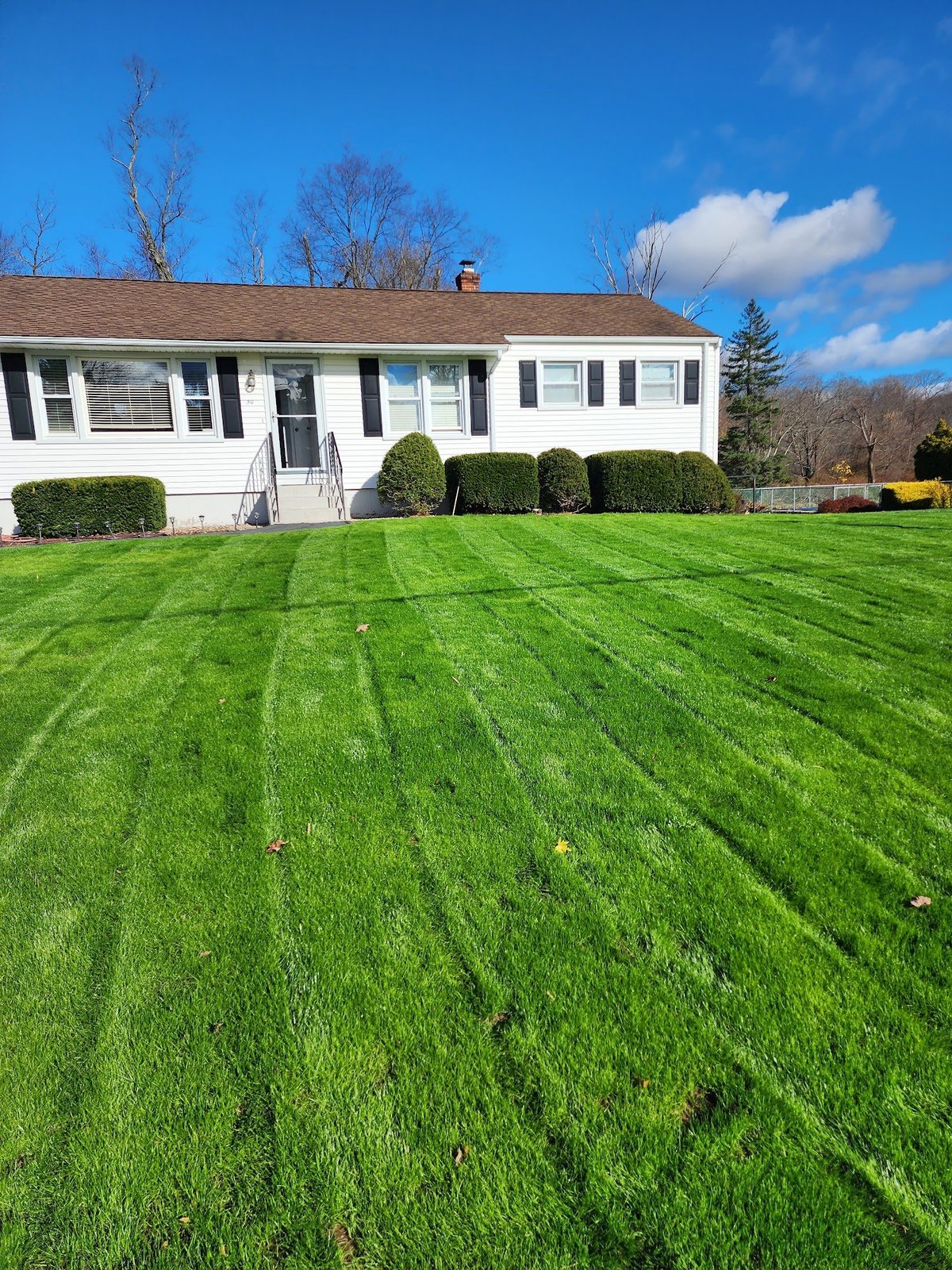 White single-story house with freshly striped green lawn and hedges — Lorenzo's lawn care work on a Connecticut property