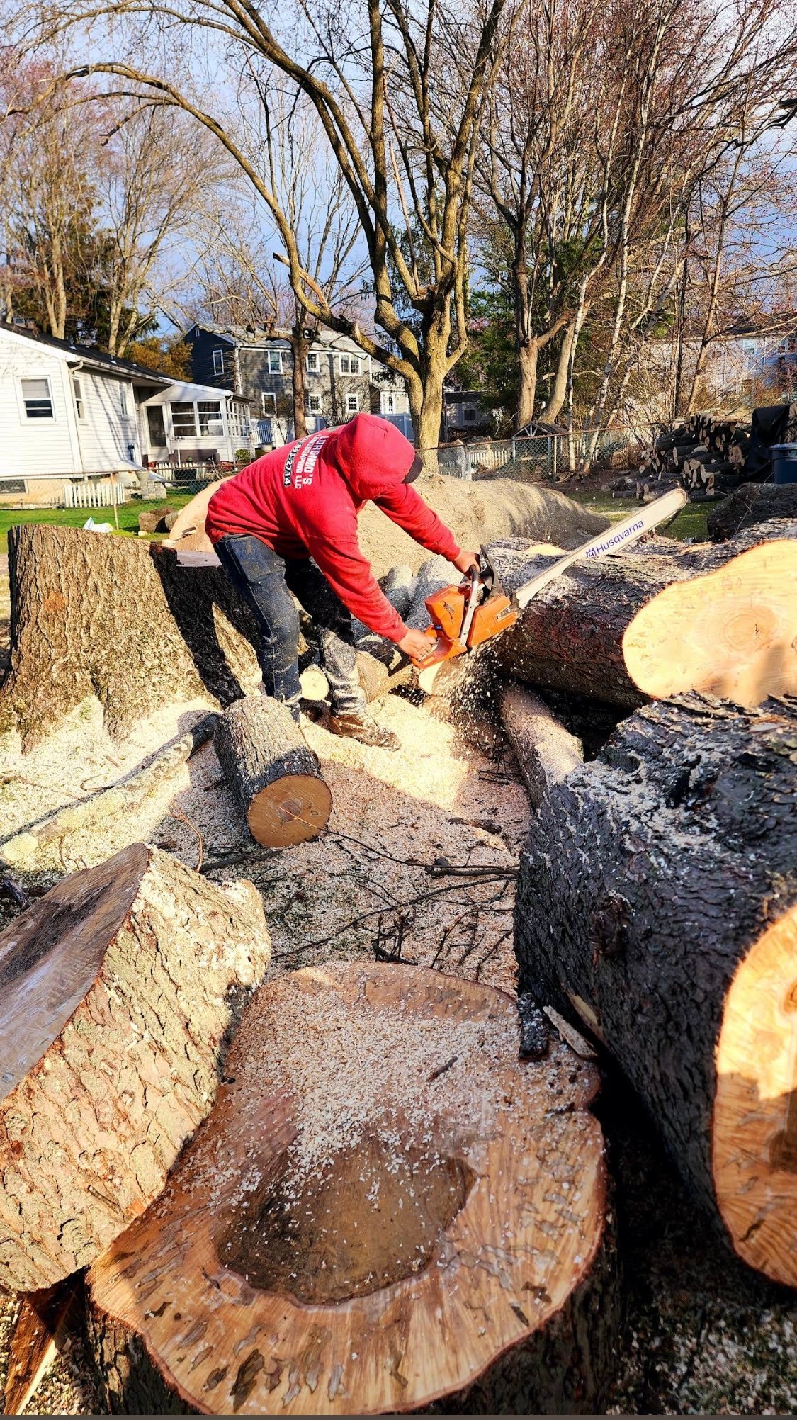 Person in red jacket using chainsaw to cut logs in backyard with houses and bare trees in background
