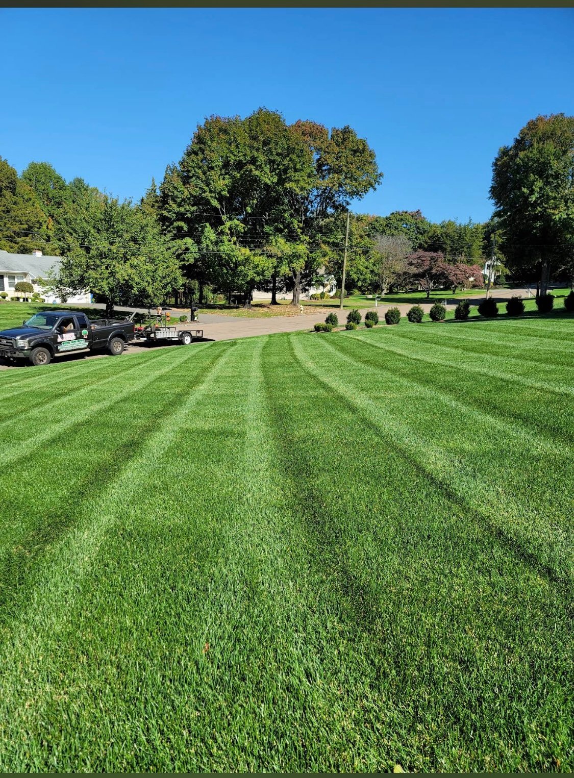 Wide green lawn with crisp mowed stripes, a Lorenzo's truck with trailer and equipment, mature trees and a residential street in the background