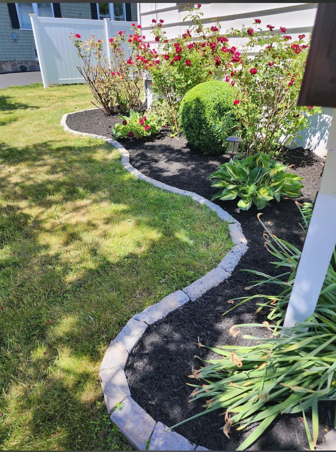 Landscaped garden bed with pink roses, topiary shrubs, and green plants along curved stone border separating lawn