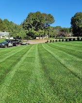 A manicured green lawn with a clean striped mowing pattern and mature trees behind it in Connecticut