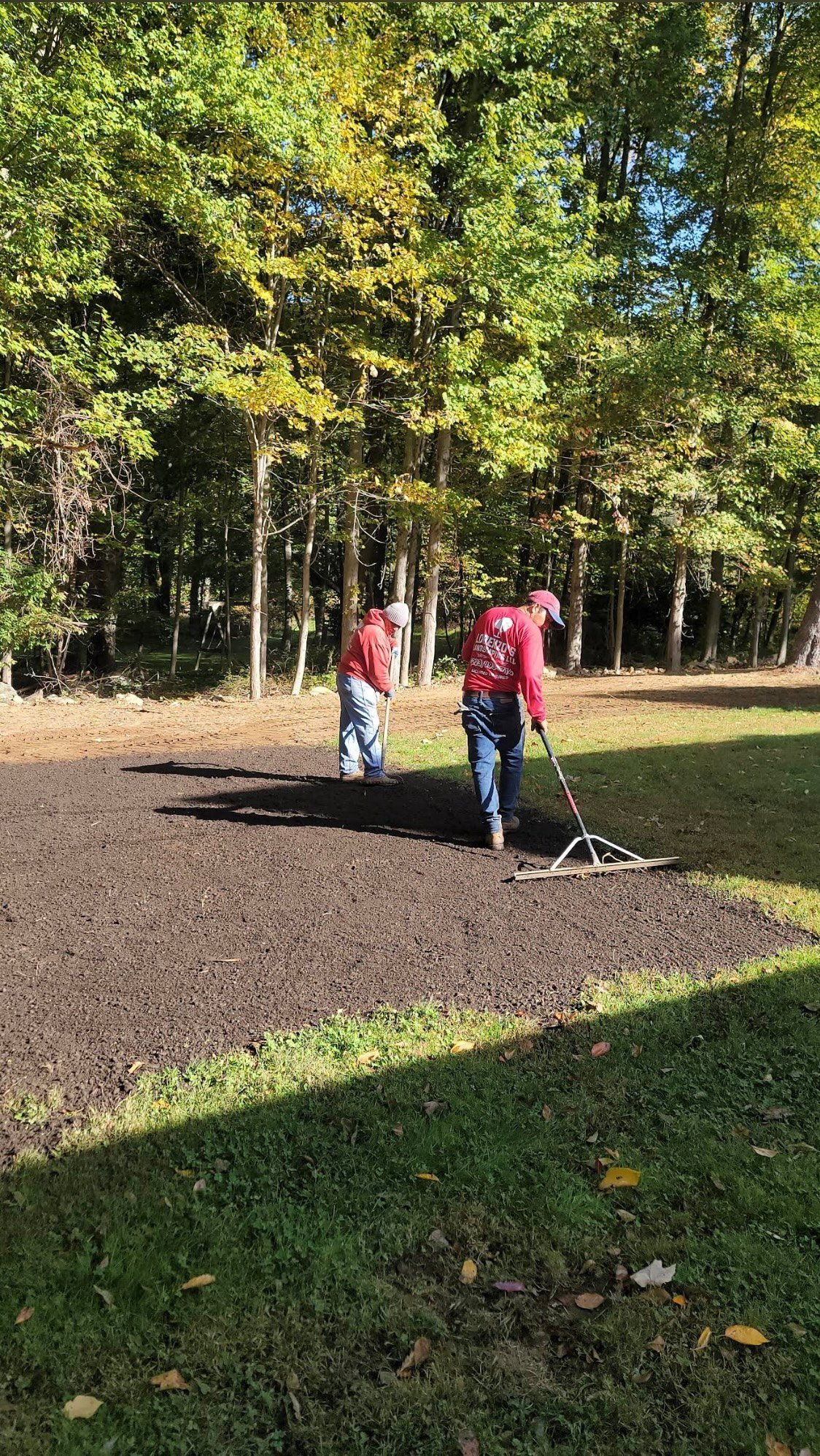 Two crew members in red Lorenzo's hoodies raking dark mulch on a shaded woodland lawn