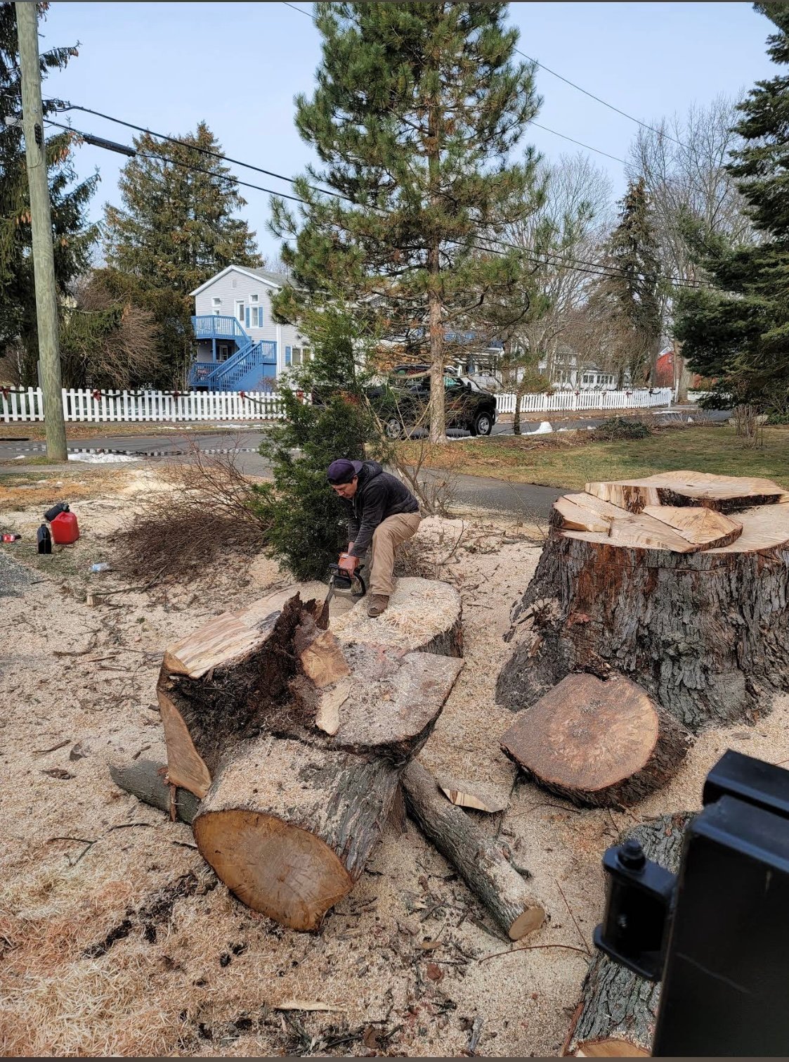 Person cutting logs with a chainsaw in residential yard surrounded by tree stumps and sawdust