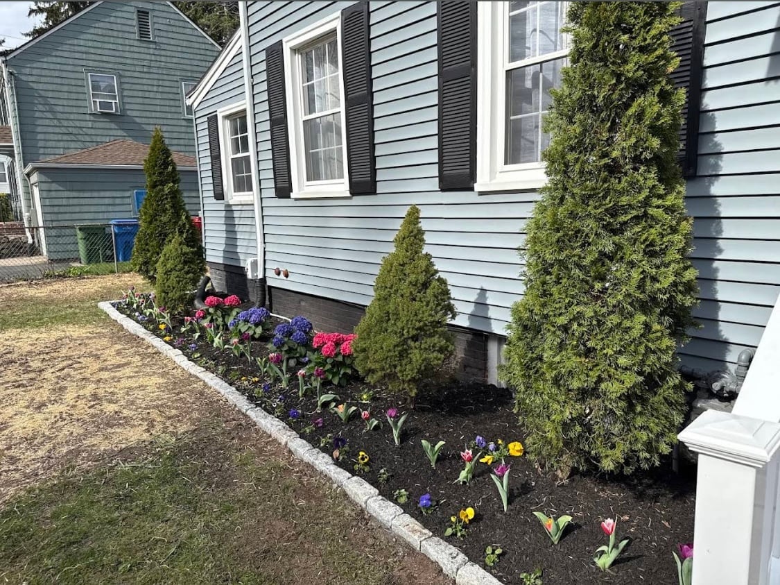 Blue house with black shutters and green shrubs, featuring a landscaped front garden bed with colorful spring flowers and tulips