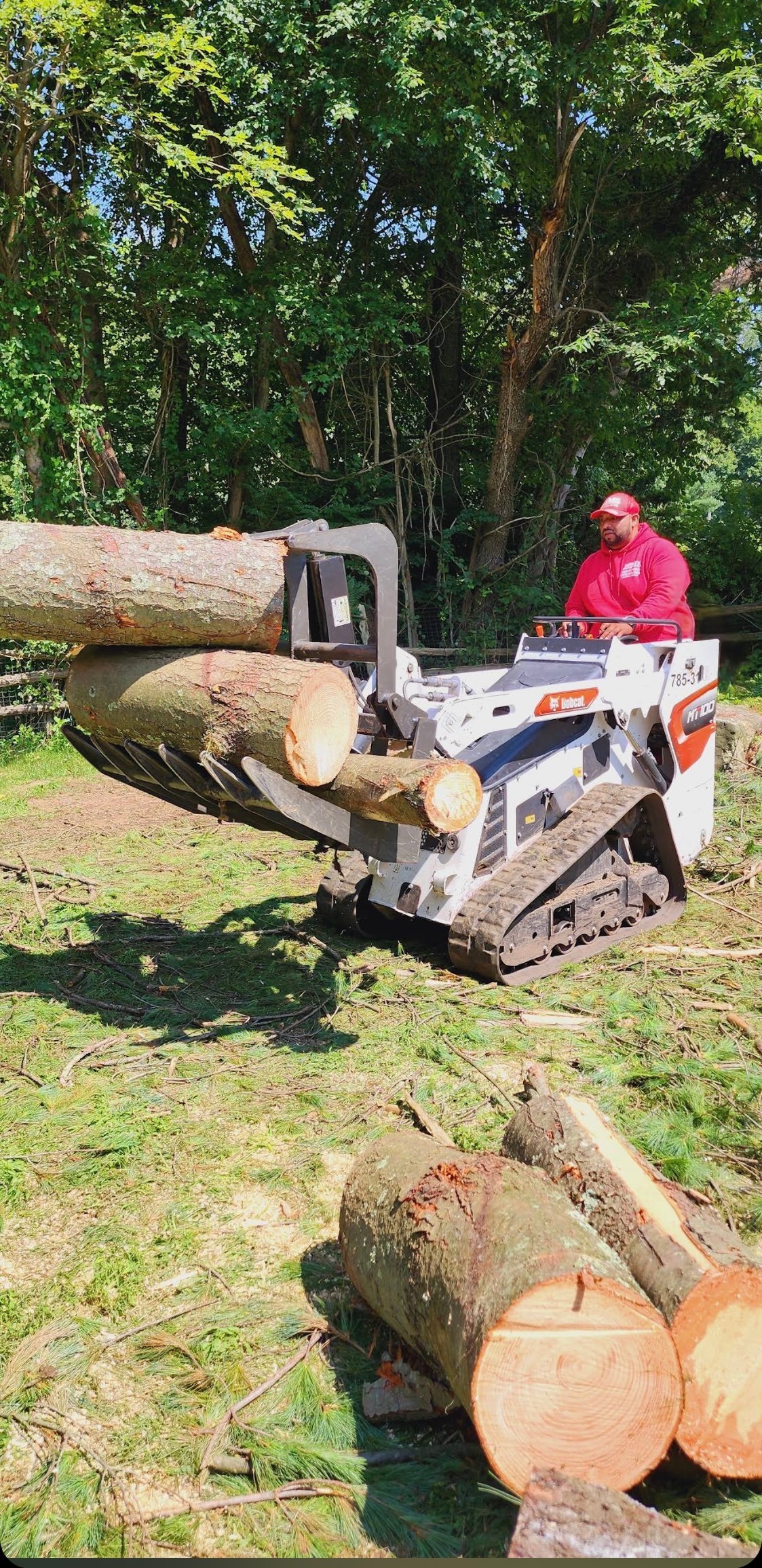 Worker operating a white and orange skid steer loader moving logs in a forest clearing with trees in background