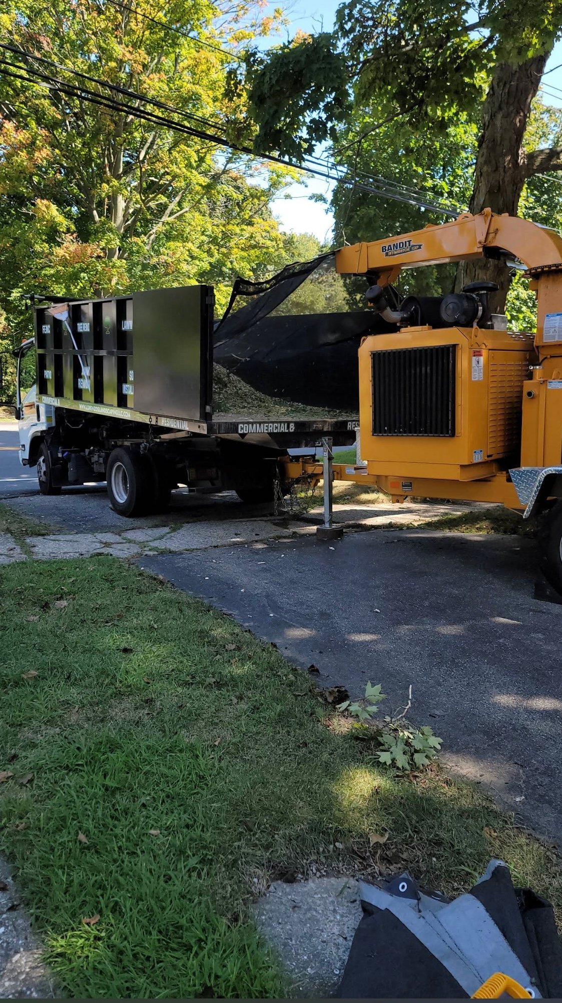 Yellow wood chipping machine loading wood debris into black trailer on residential street with trees